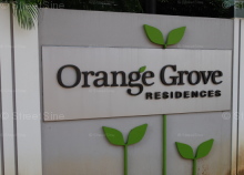 Orange Grove Residences (D10), Condominium #50422